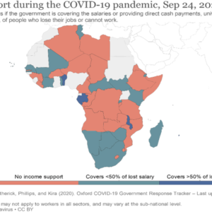 Small businesses and their challenges during COVID-19 pandemic in developing countries: in the case of Ethiopia