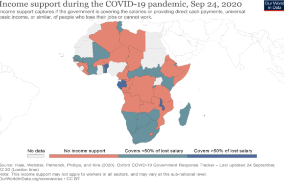 Small businesses and their challenges during COVID-19 pandemic in developing countries: in the case of Ethiopia