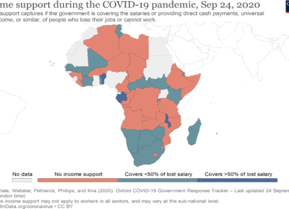 Small businesses and their challenges during COVID-19 pandemic in developing countries: in the case of Ethiopia